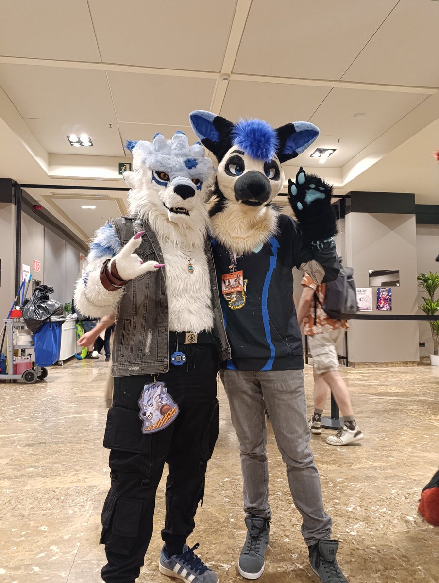 MauRoo✨ Heartglow's Merch💙🦘 🔜 Furality 🐾 tweet media
