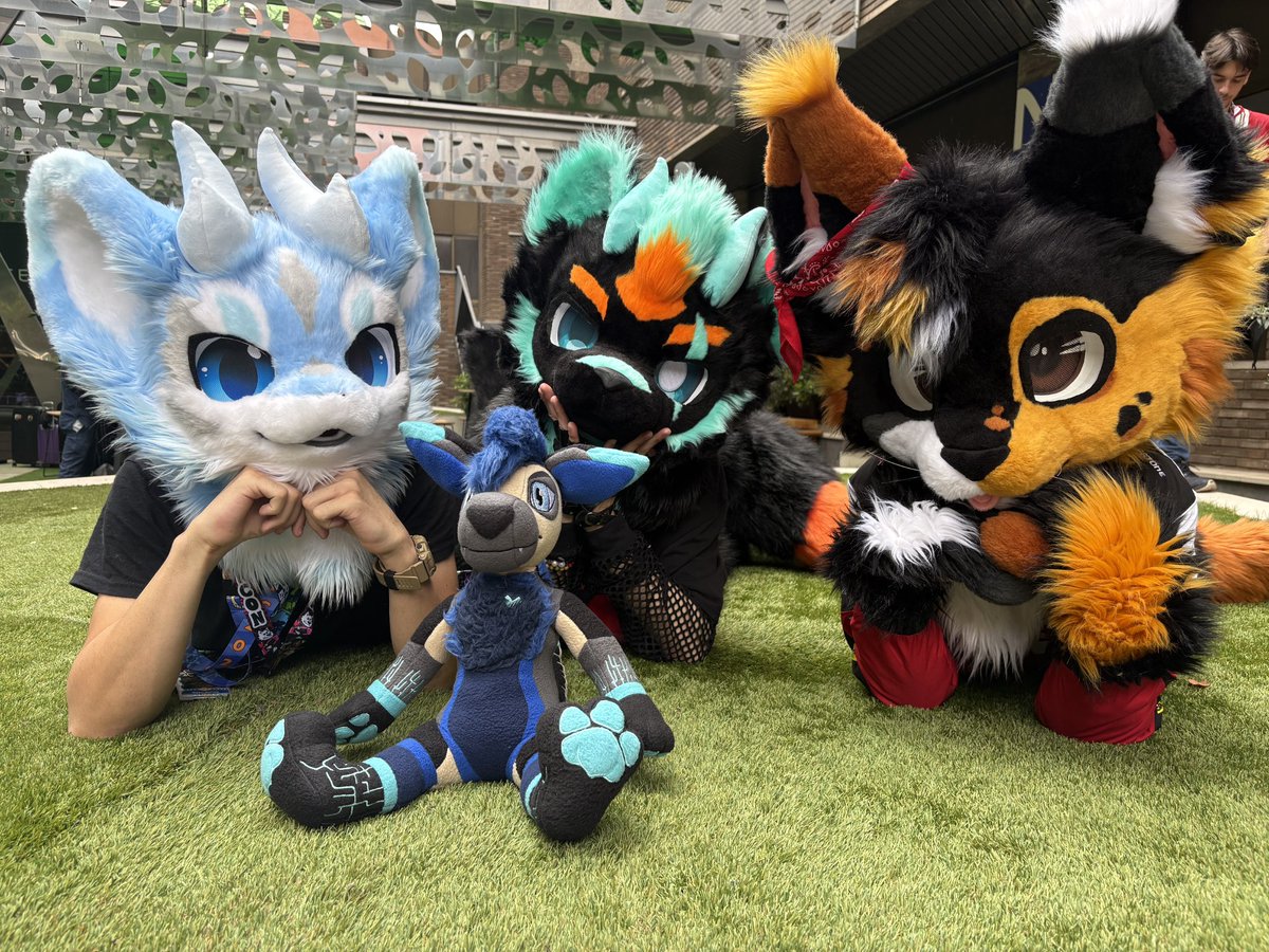 MauRoo✨ Heartglow's Merch💙🦘 🔜 Furality 🐾 tweet media