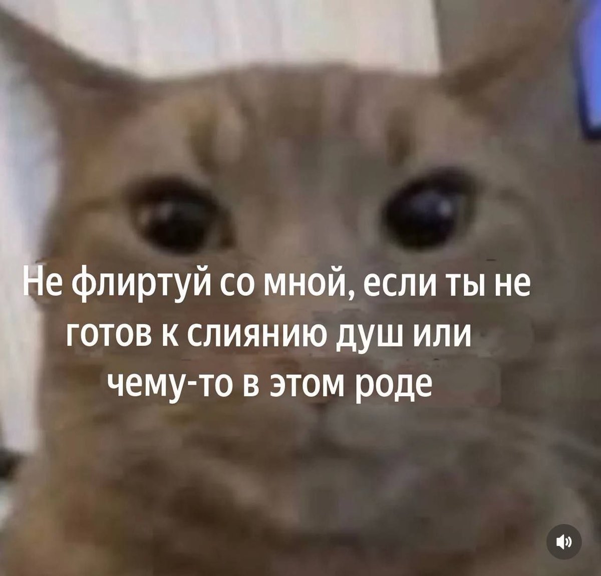 yusya tweet media