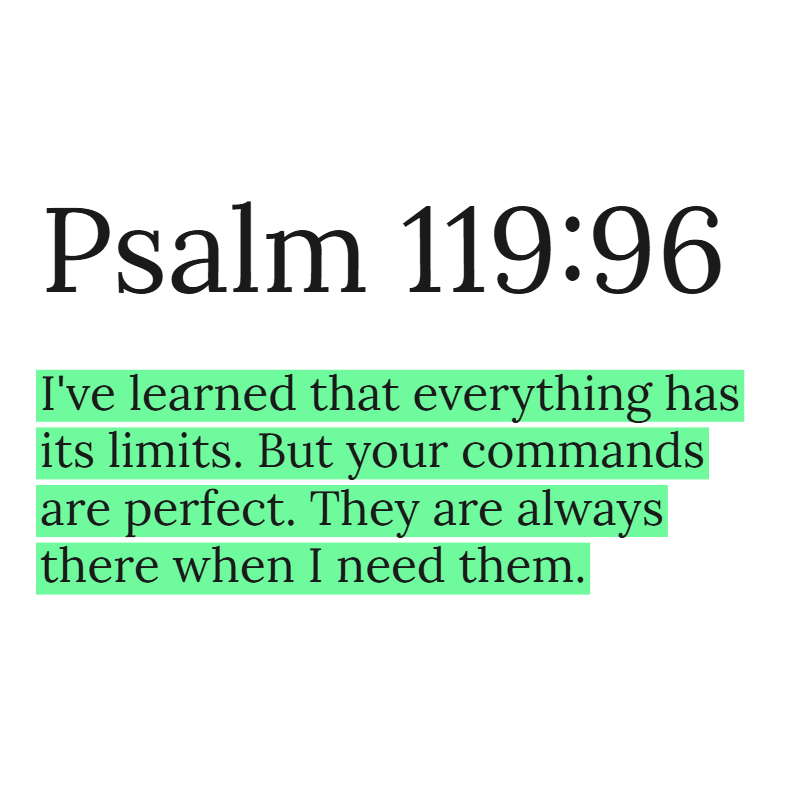 Holy Bible tweet media