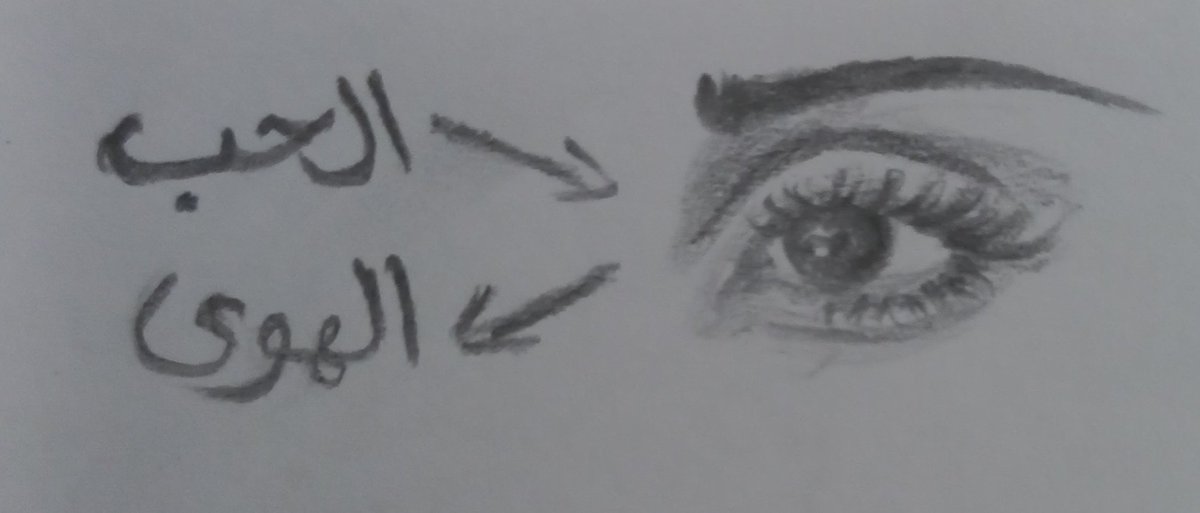 ضيَاء! tweet media