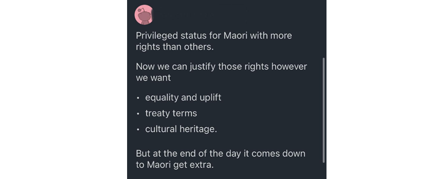 Kiwi Frontline tweet media
