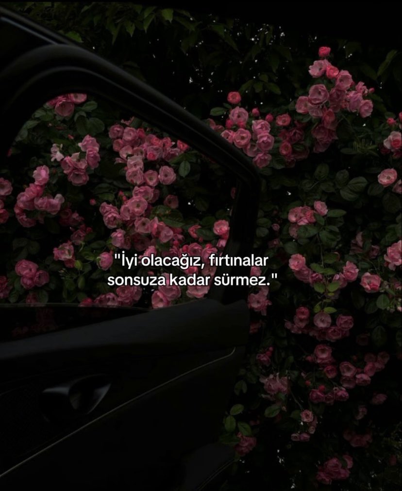 Begüm tweet media