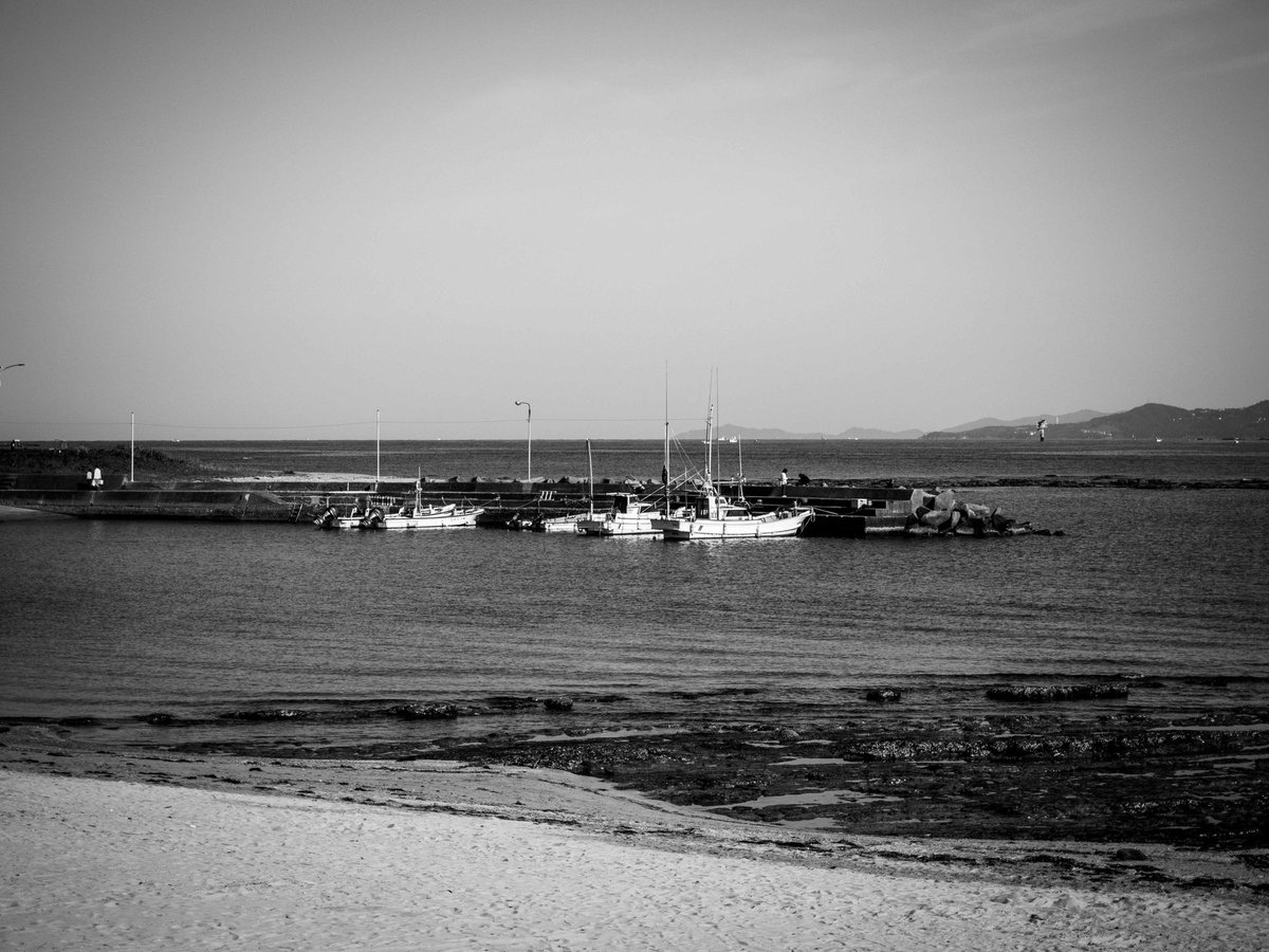 mofupen_flower's tweet image. #snapshot
#monochrome
#blackandwhitephotography