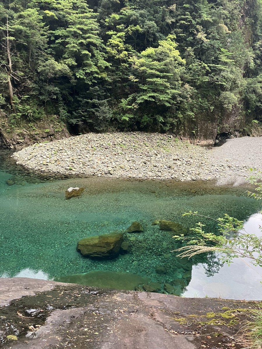 旅猫にゃにゃかつ tweet media