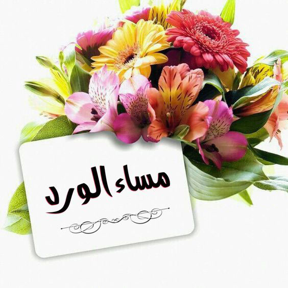 {{ برق_الخيال}} tweet media