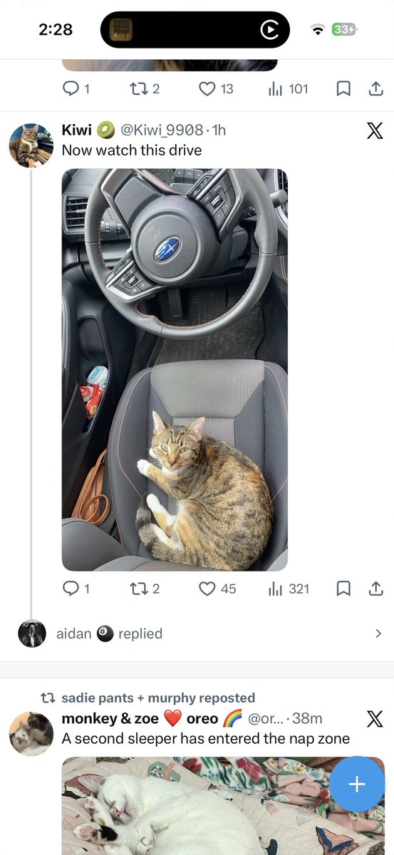 Kiwi 🥝 (@Kiwi_9908) / Posts / X