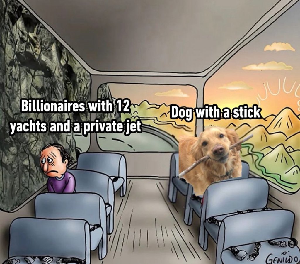 Puppies 🐶 tweet media