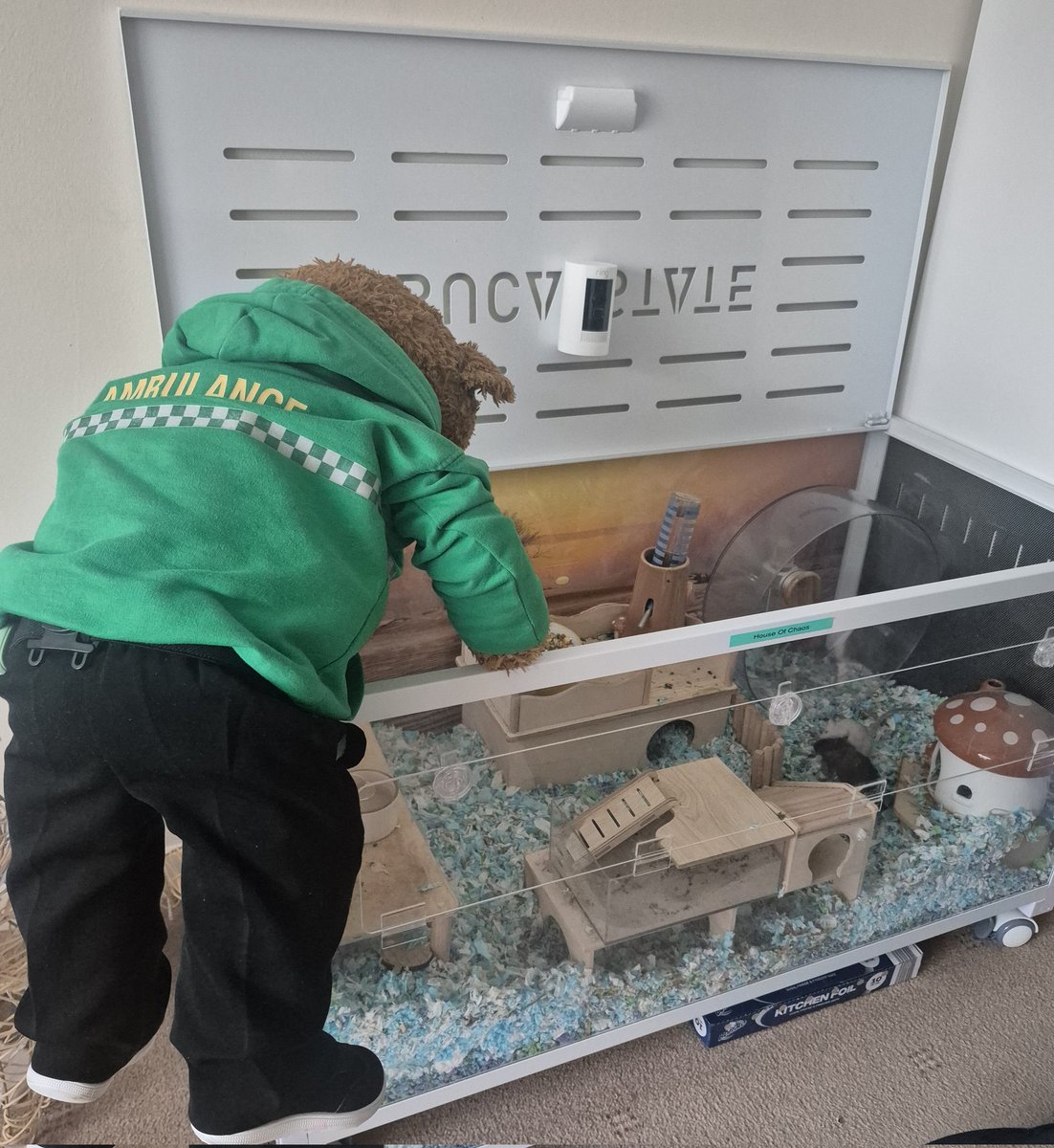 BDMed_Bear's tweet image. Gerbil clean out day!! My favourite day of the month is deep clean day for Salt and Pepper! Look how happy they are at the end 💛 #bearswithjobs #weekendvibes #bekindtoanimals #gerbils