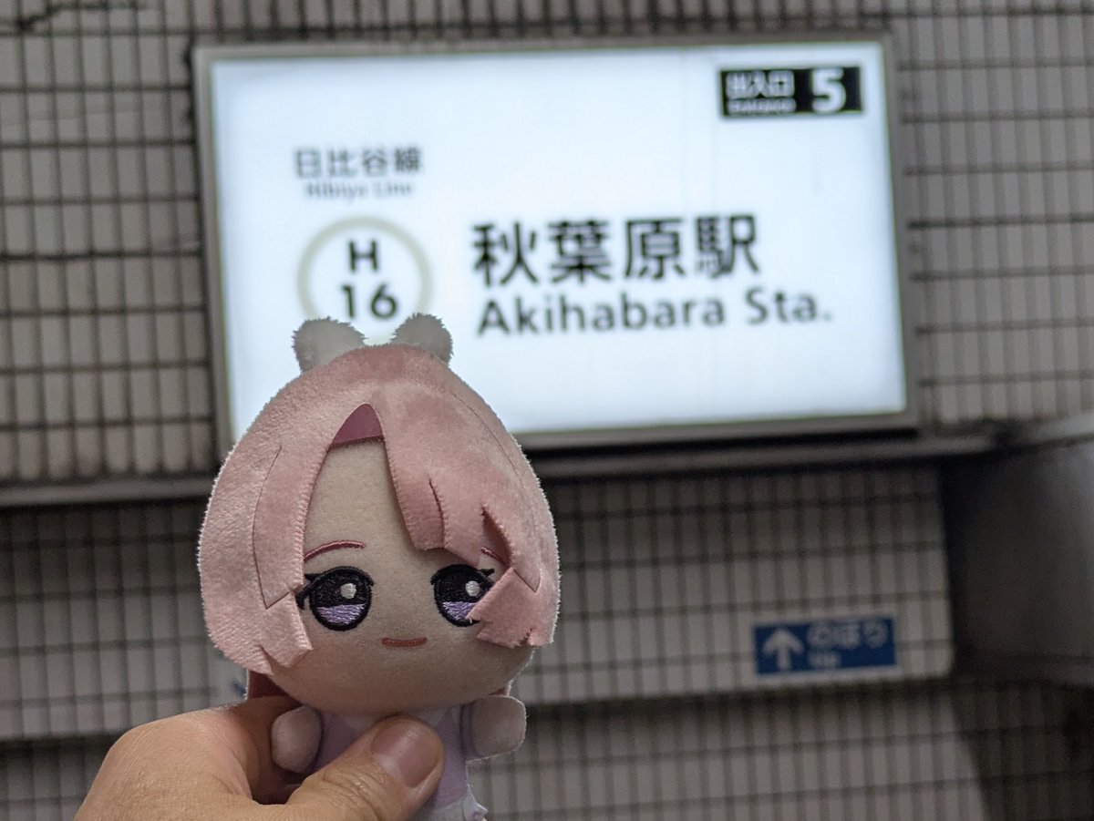 カンヌキ tweet media