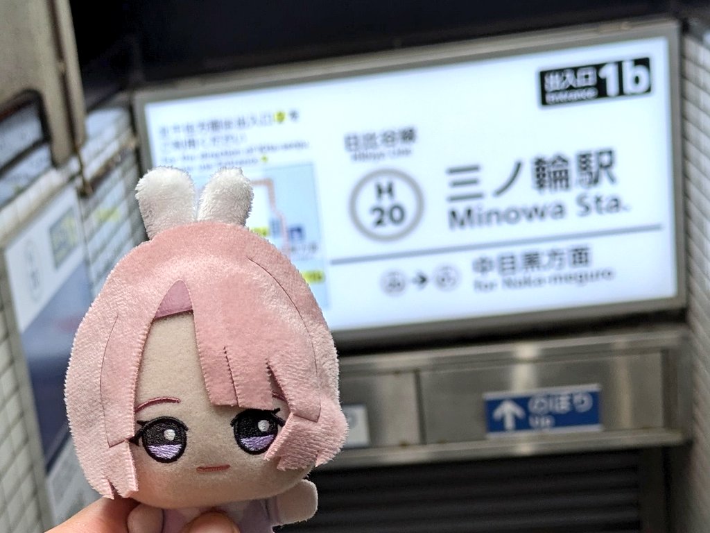 カンヌキ tweet media