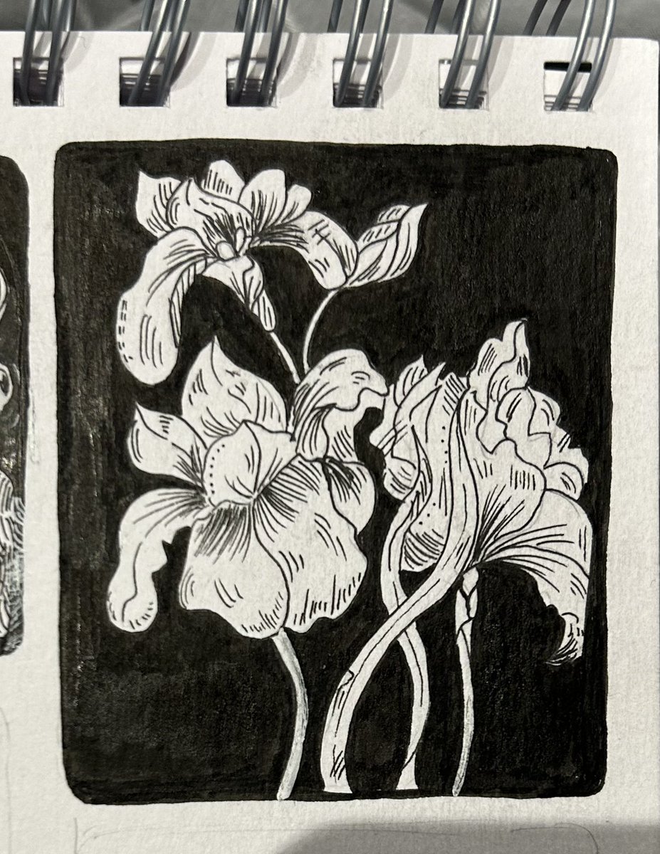 mauverinvx's tweet photo. purple iris https://t.co/baW3aVmwAQ