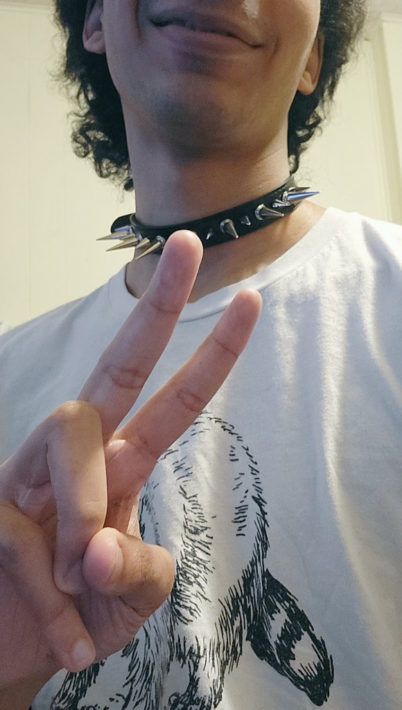 ForFoxSake tweet media