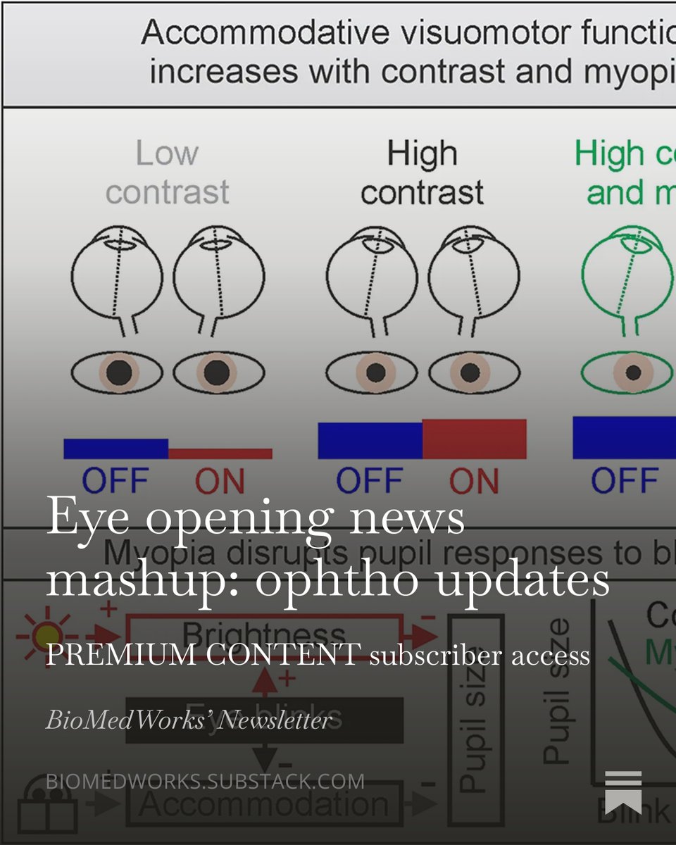 L_Kragie_MD's tweet photo. Latest BioMedWorks newsletter:  "I was blind, but now I see." Ophtho Info

PREMIUM CONTENT subscriber access 

#accommodation #myopia #retinallight #visualcontrast #vitaminB3 #corticalstimulation #restoredsight https://t.co/JM8zG1cXp0