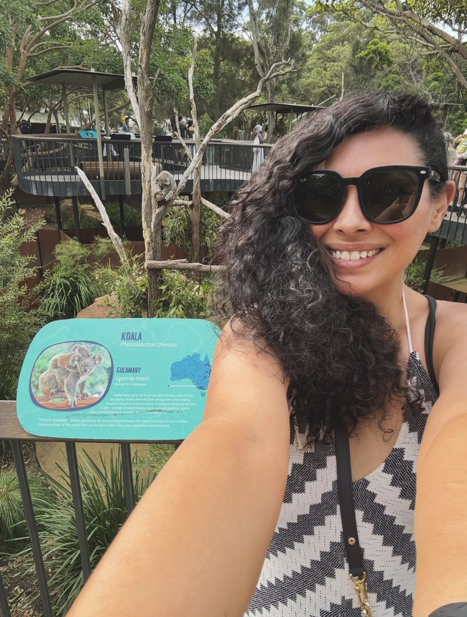 SilRigote's tweet image. 🐨🇦🇺 24 hours stop, to see this beauty! #Sydney #Australia
