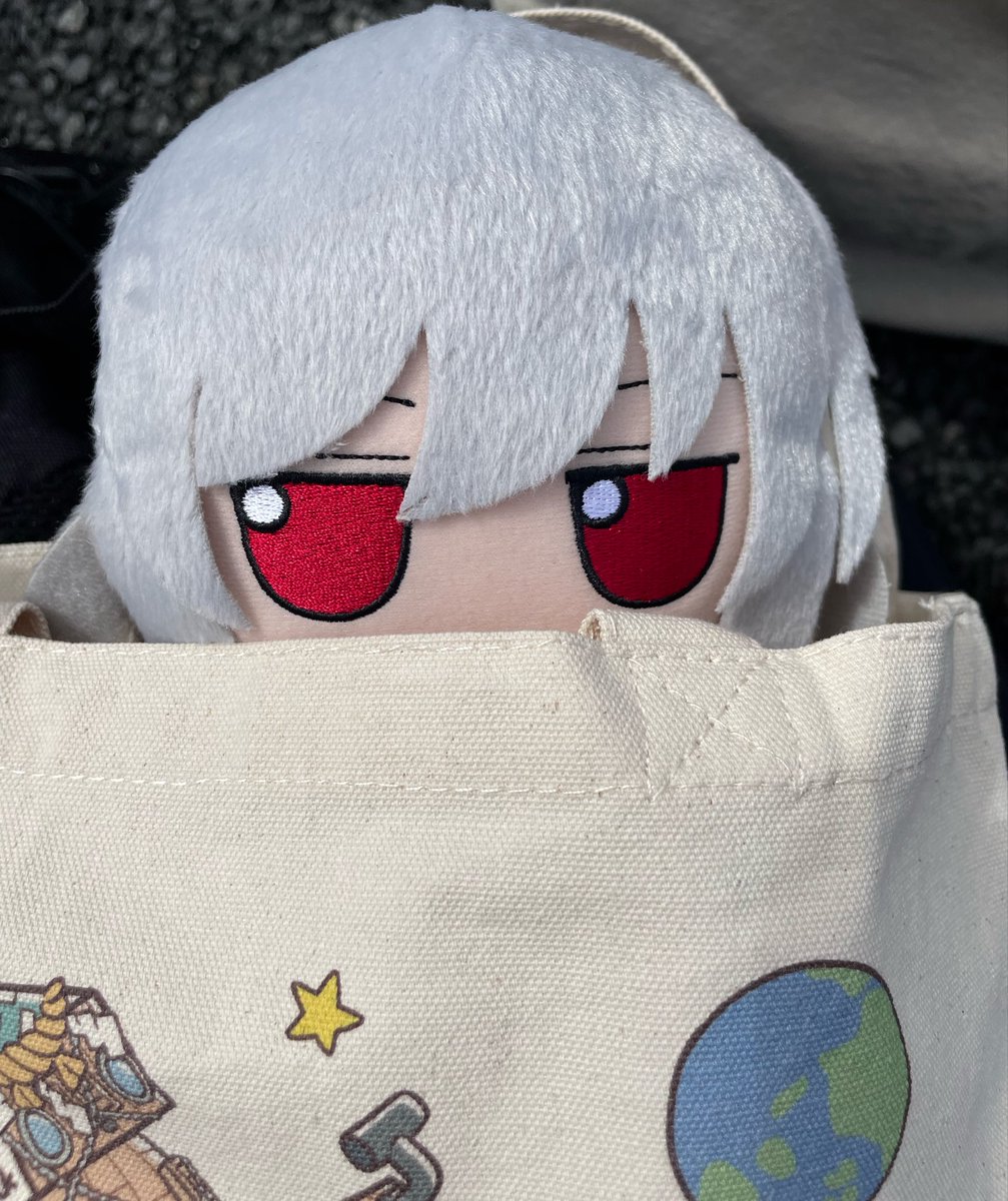 ﾌﾟｷﾞｪʕ •́؈•̀ tweet media