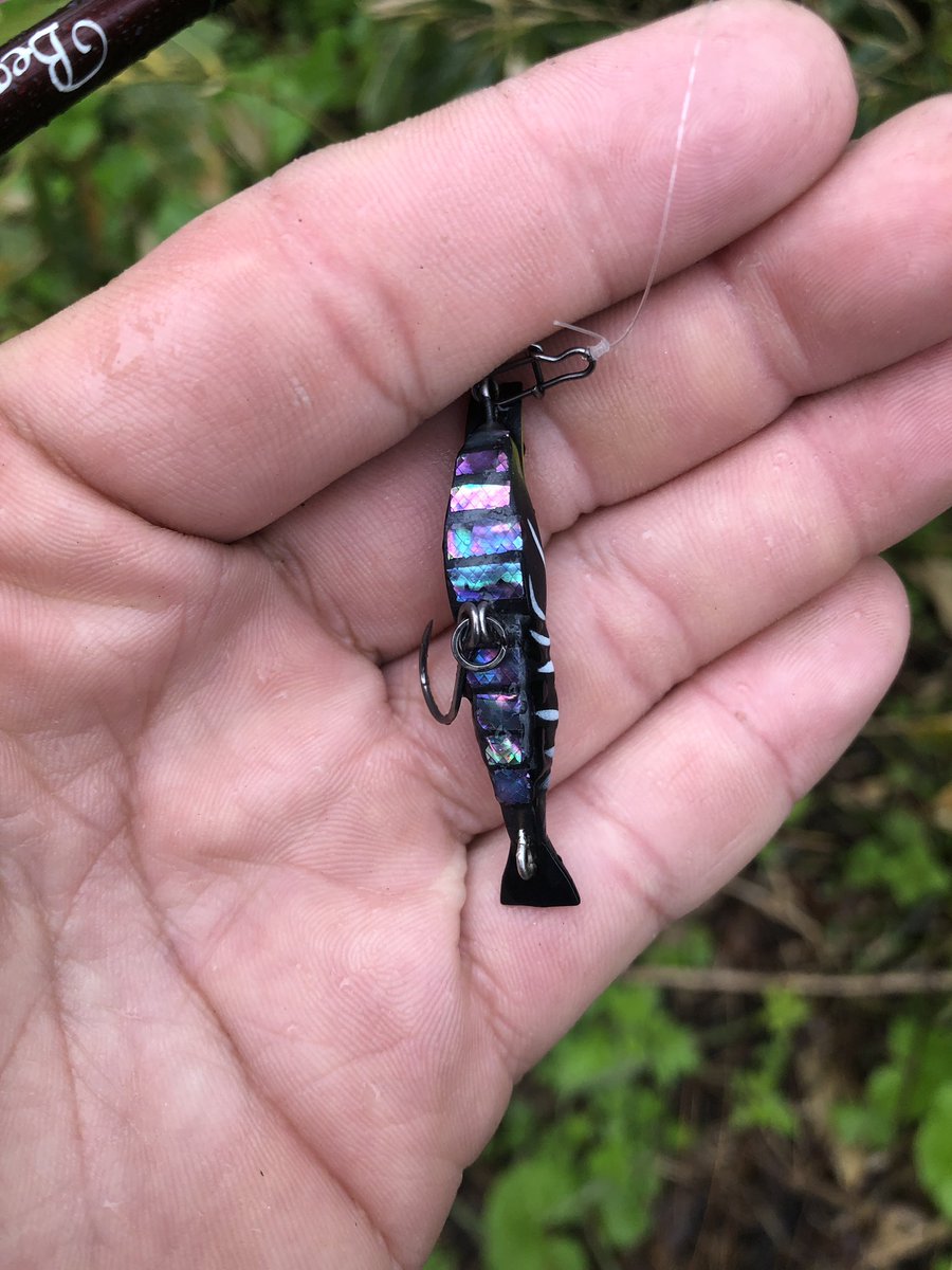 zisakukebari59's tweet image. 雨が降る中で🎣先日の濁りが残ってて魚の反応は良し😄シェルカスタムしたエビールで狙い通りの1匹✨休憩のお供はバンブーメモリー🐎良いサイズのレインボー釣れたけど写真を撮る前に逃走されました😭
#北海道 #ベイトフィネス #Fishman #Beams #inte79UL #SHIMANO #Scorpion #BFS #ブラウントラウト