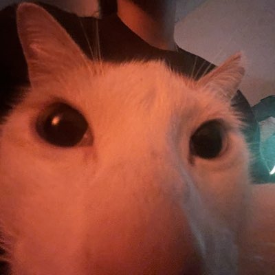nuurillaa's tweet photo. #NuevaFotoDePerfil https://t.co/xOakG7BqS3