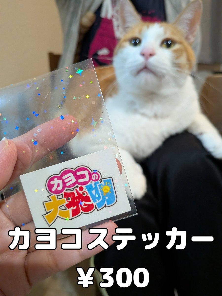 有元はるか tweet media