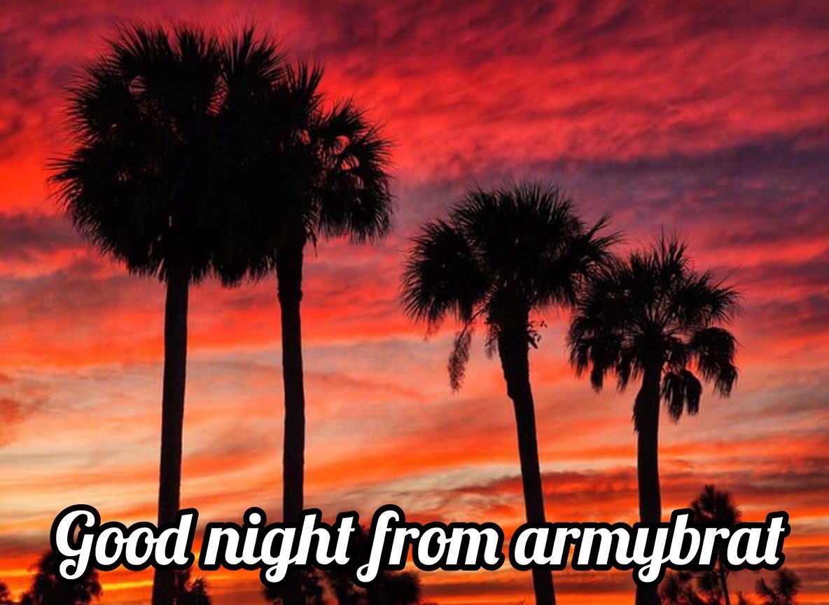 ArmyBrat682's tweet photo. Good Night from Florida, X’ers! 🙏🩷🫶 https://t.co/jFhqHh2Zin