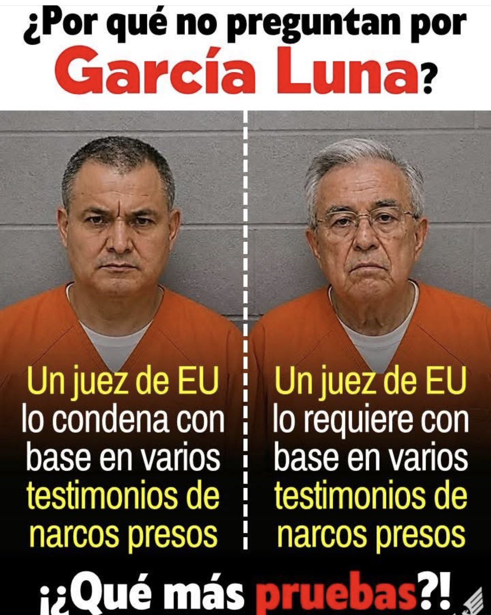 Libertad Mx ⚖️🗽📚🎶🌹 tweet media