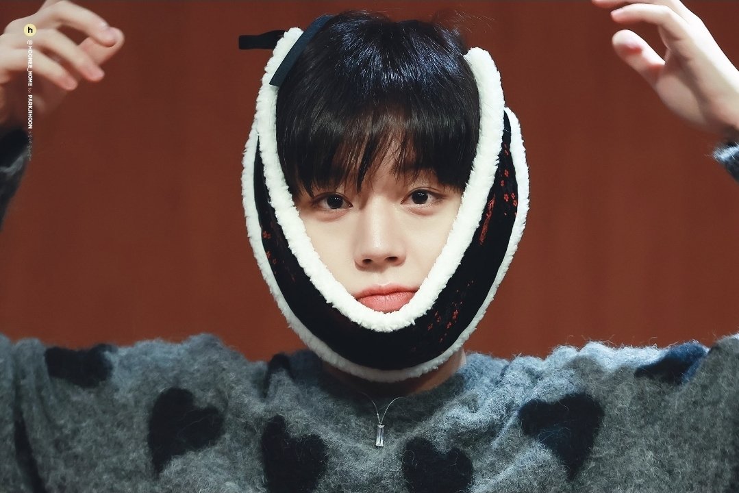 뇽 tweet media