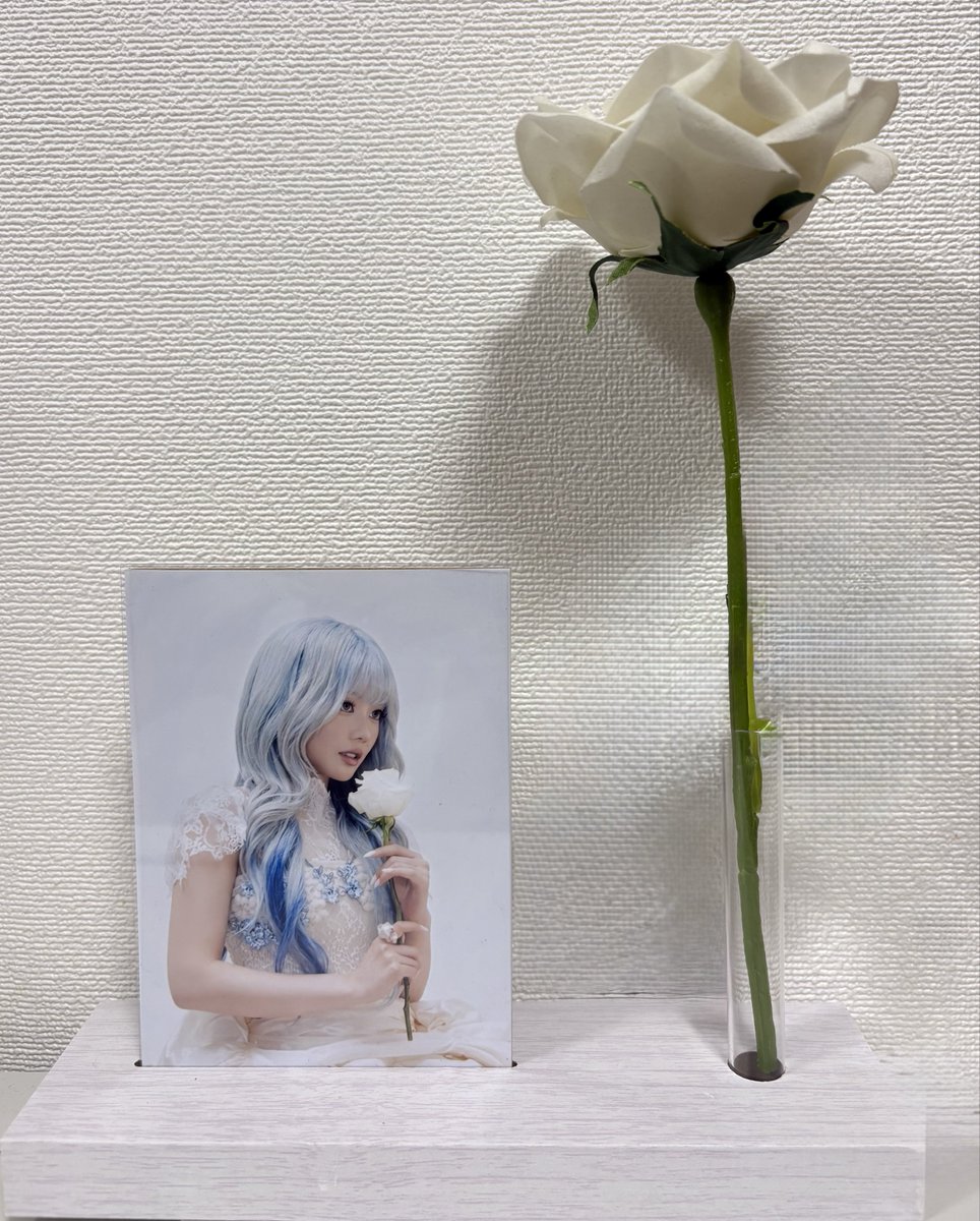 ぽかぽか tweet media