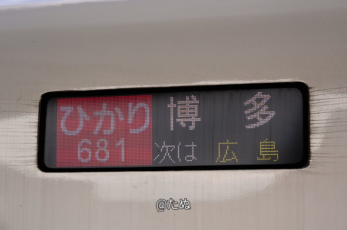 たぬこう👼 tweet media