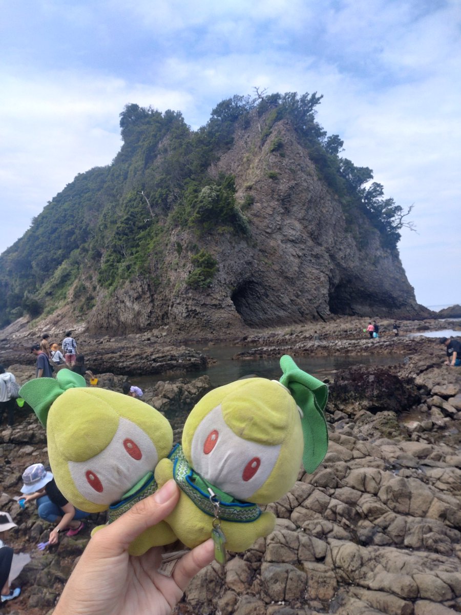 さとうJr. tweet media