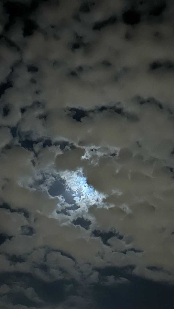 أماني (@i22_im) on Twitter photo 