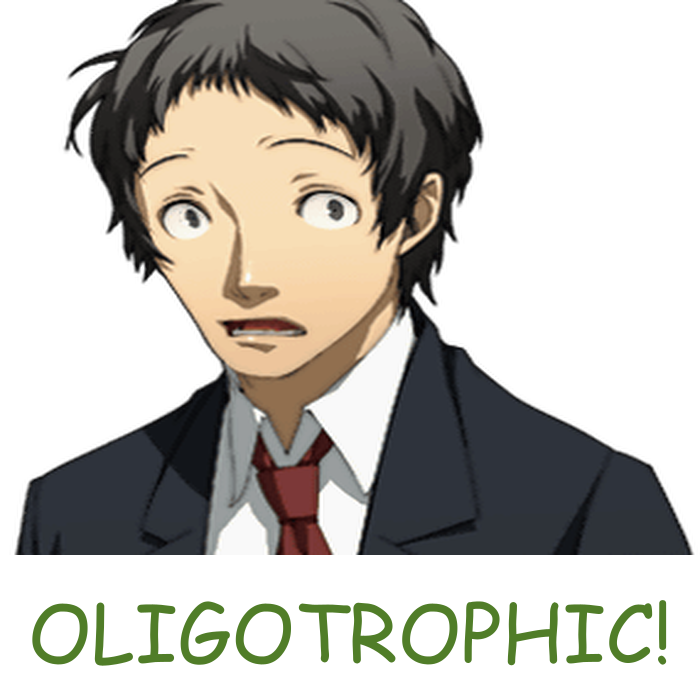 Adachi's Reaction tweet media