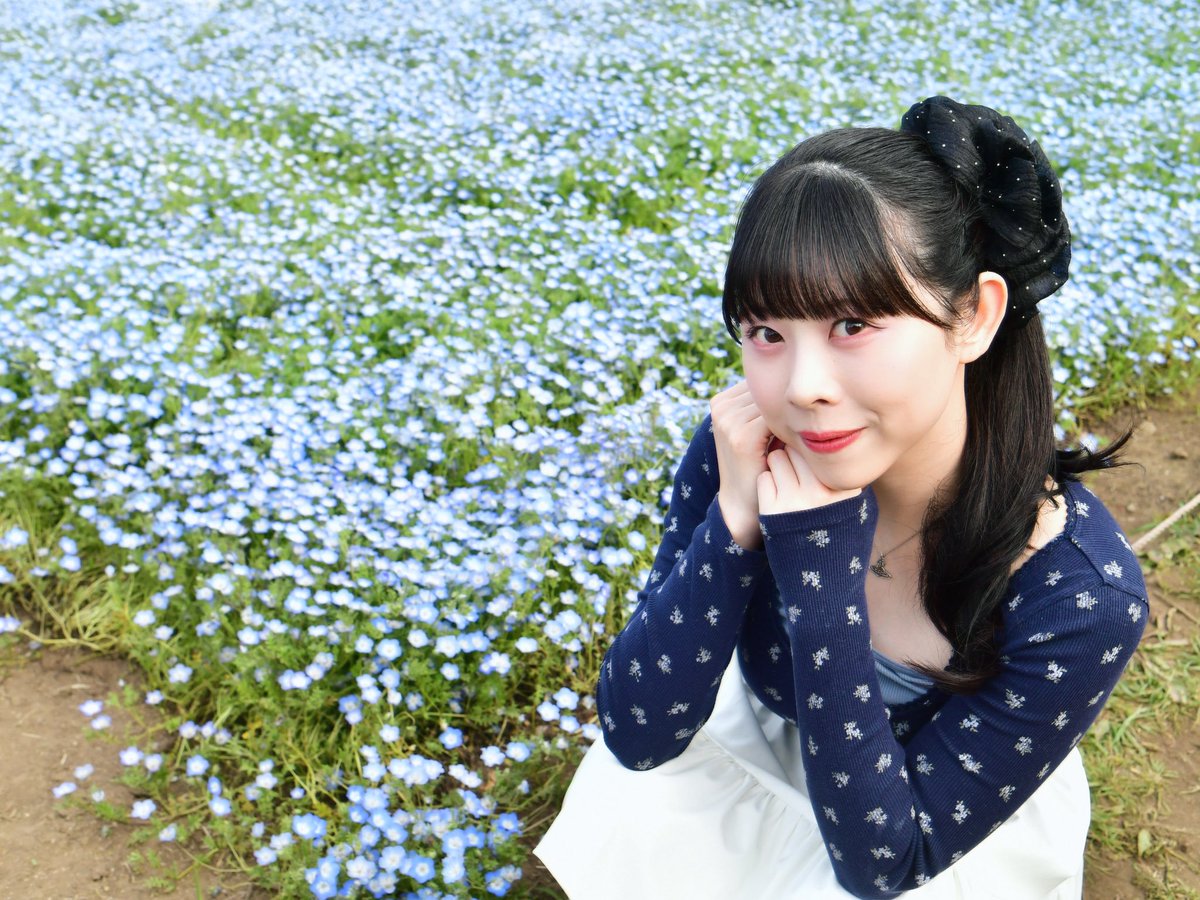 茉莉花夏🐬サマロケ tweet media