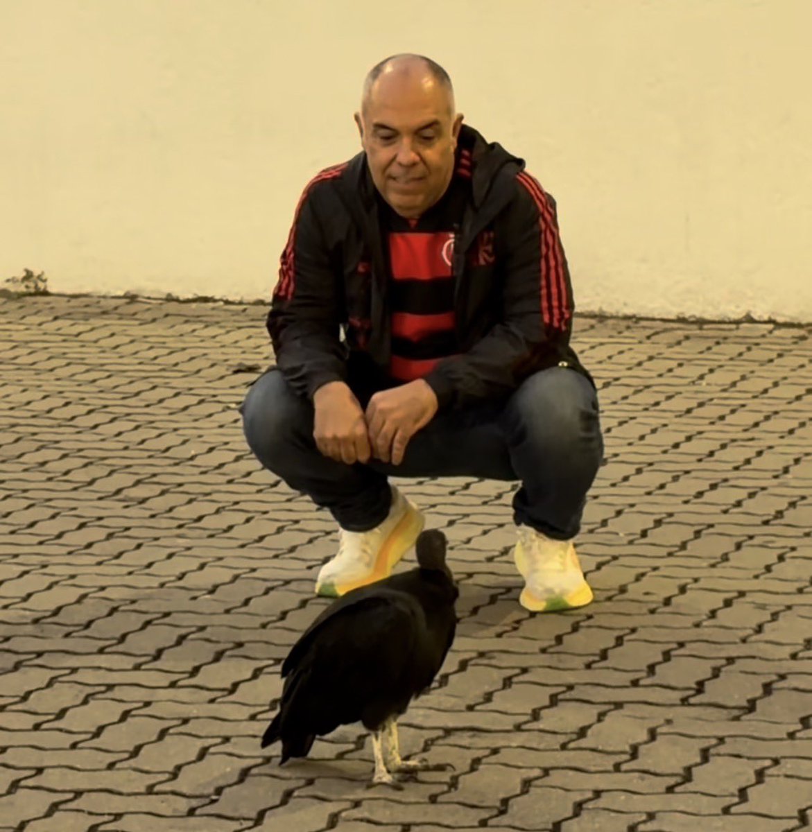Flafocalizando tweet media