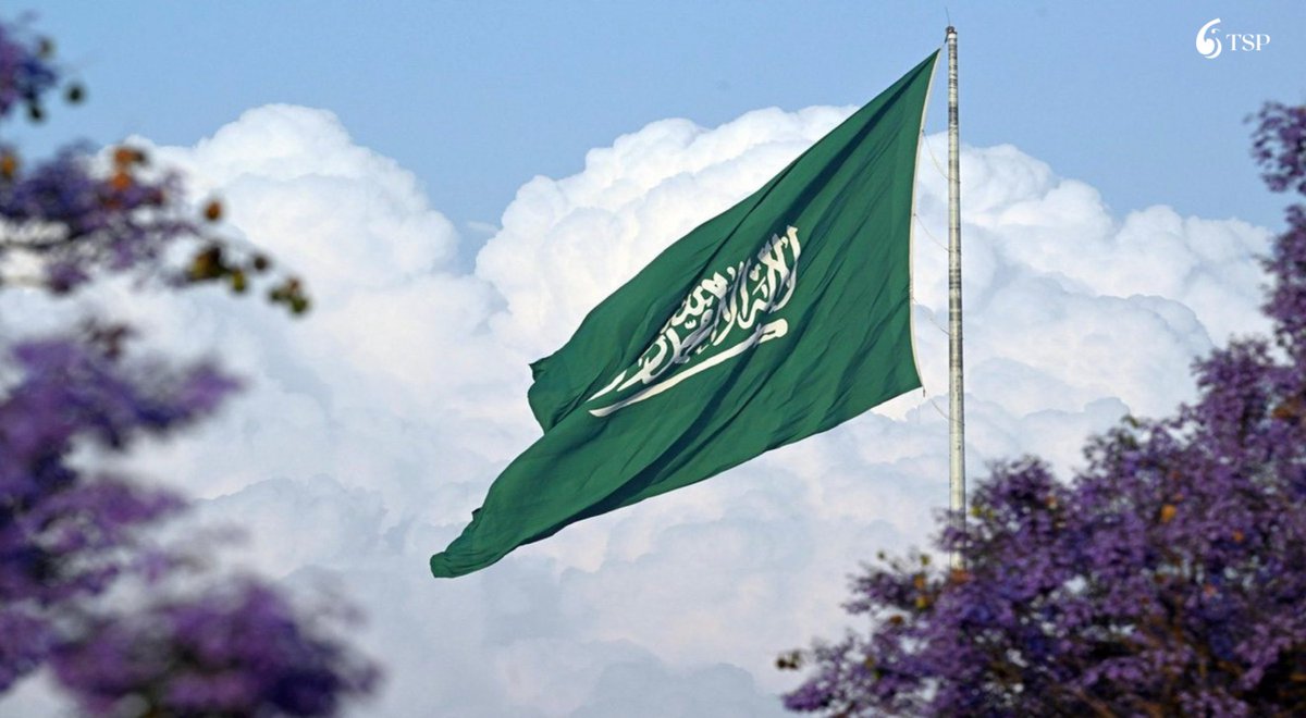 شبكة نفود الإخبارية tweet media