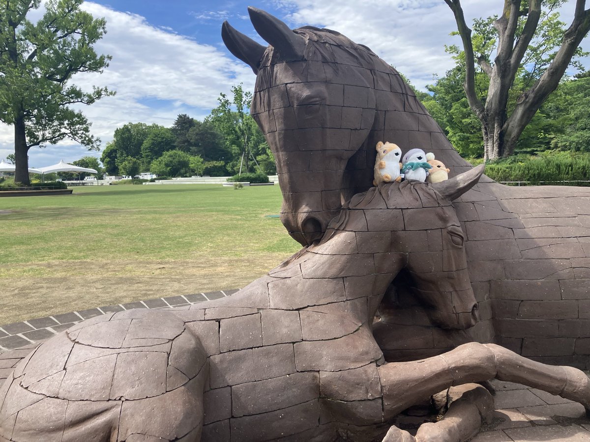 サメオページ ˋˏ🦈🐎JRAホースショーにおでかけ🐎🦈ˎˊ˗ 本日より子ザメちゃんたちの