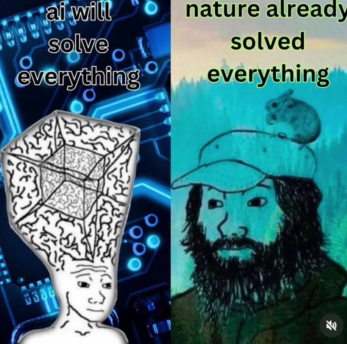 philosophy memes 🔗 tweet media