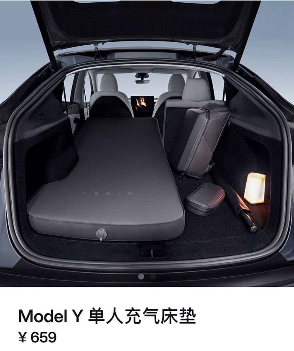 Tsla Chan tweet media