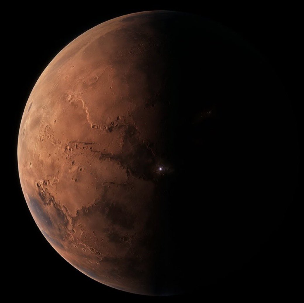ELON MARS COIN tweet media