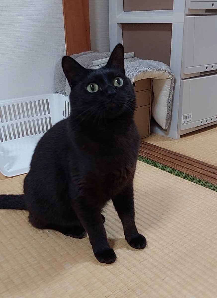 Evemaru00 tweet media