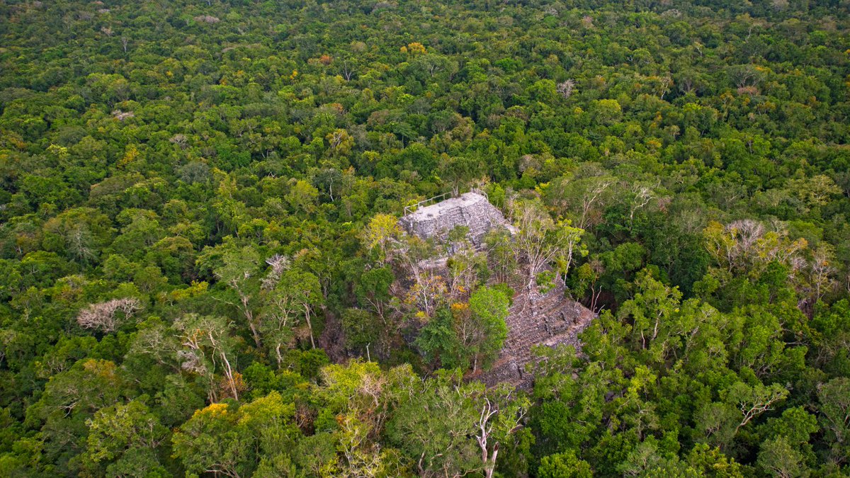 Blue_Parallel's tweet photo. In #CentralAmerica, location defines the stay. 🌿 The region’s best luxury accommodations place you inside cloud forests, along remote coastlines, and beside protected reserves, where access to nature is part of the design. Explore more: https://t.co/5apmrzm0fg #LuxuryTravel https://t.co/1uZ3e1hDa3