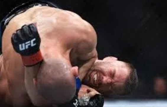 MMA FIXED tweet media