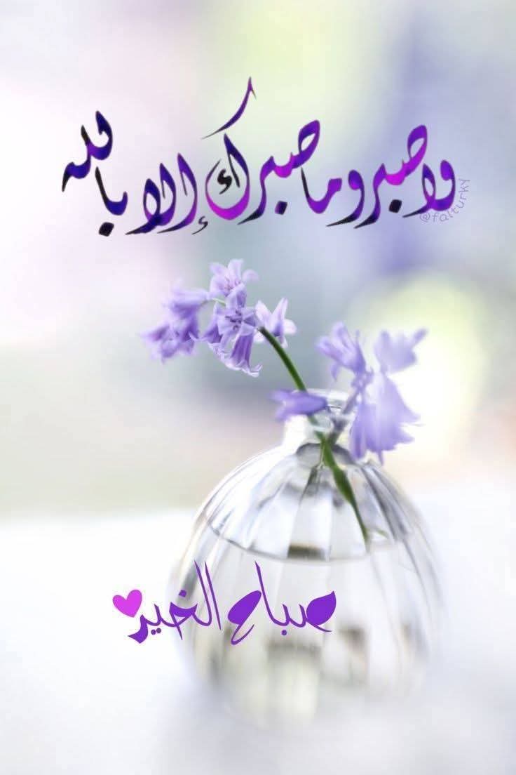 ابو فارس tweet media