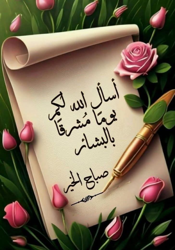 محمد عبدالوكيل جاب الله tweet media