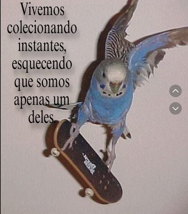 luisdayy's tweet photo. https://t.co/HElbL2eNcy
