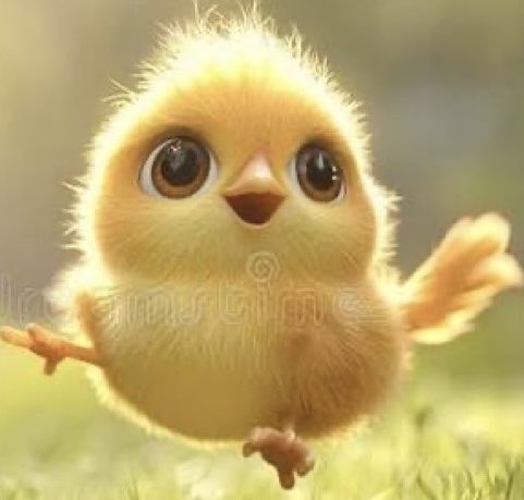 Chick tweet media