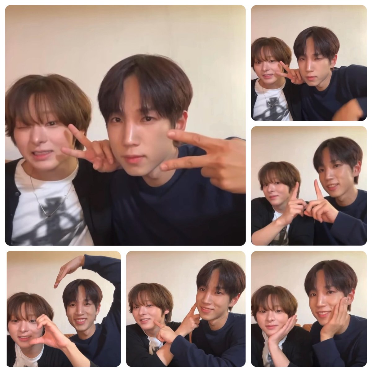 배너숲지기💎 tweet media