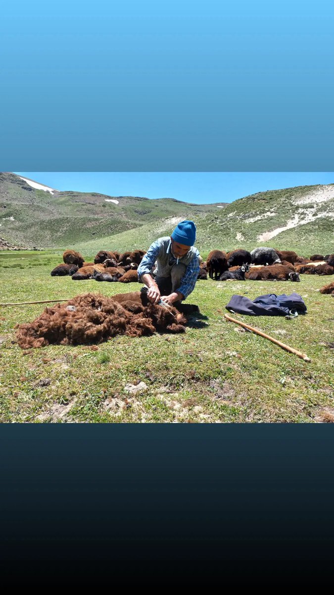 AliAydnc12's tweet photo. Gün gelir… Hırsızlar zengin… Metresler eş… Serseriler adam olur… Odundan kapı, taştan saray olur…
Gün gelir Kezbanlar destan… Onları destan yapanlar mestan olur…
Gün gelir Çivisi çıkar dünyanın
Konuşamayanlar hatip Şifa veremeyenler tabip… Yazamayanlar kâtip olur https://t.co/5mppzVm0NT
