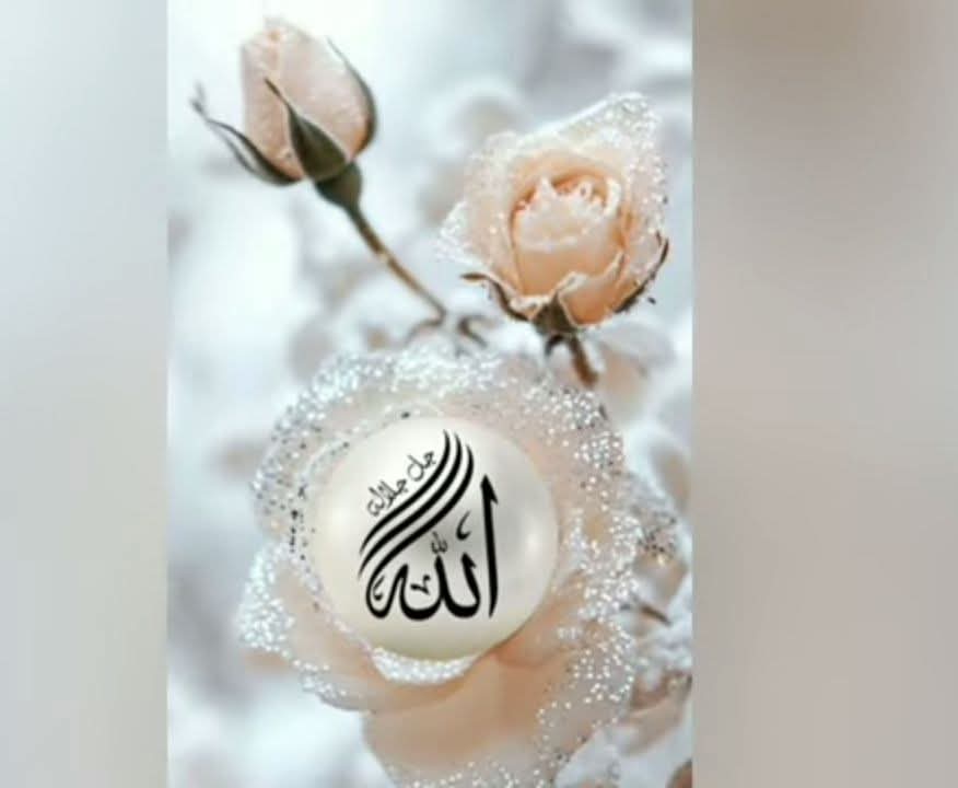 Amal Khan tweet media