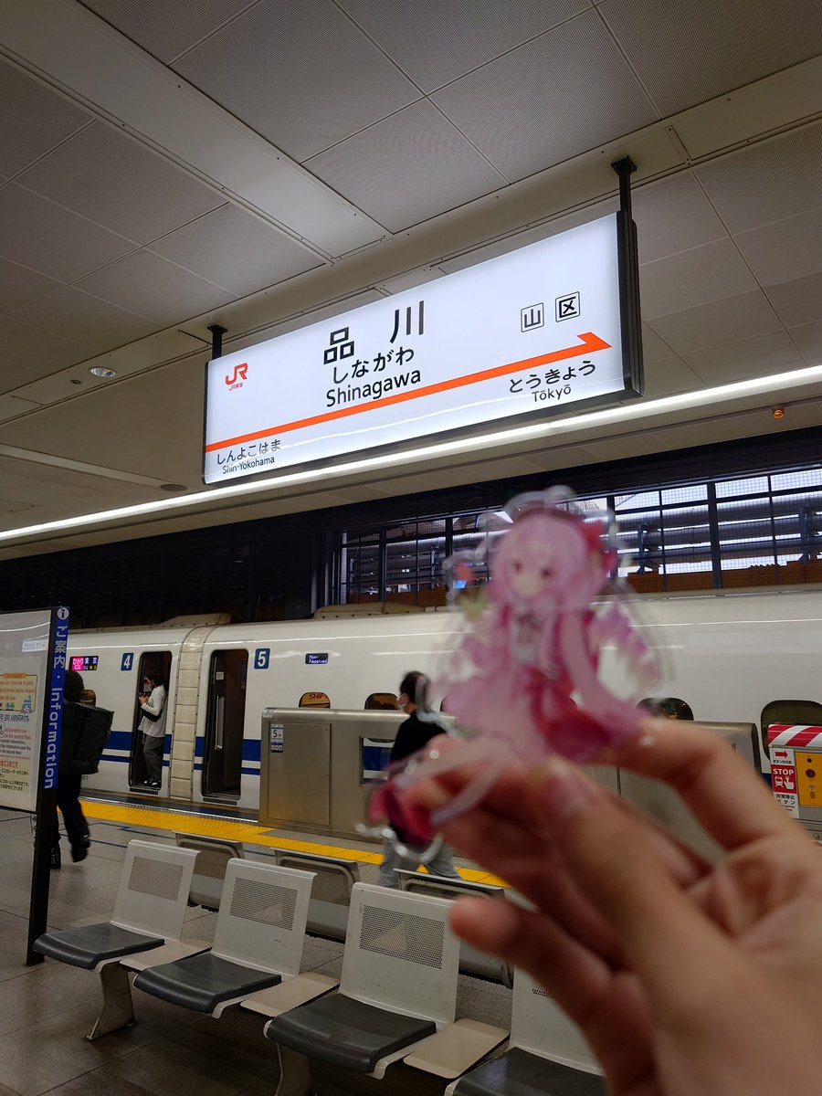 博衣桜　VTuber準備中🧪🌽🚘️🌧️🌷 tweet media