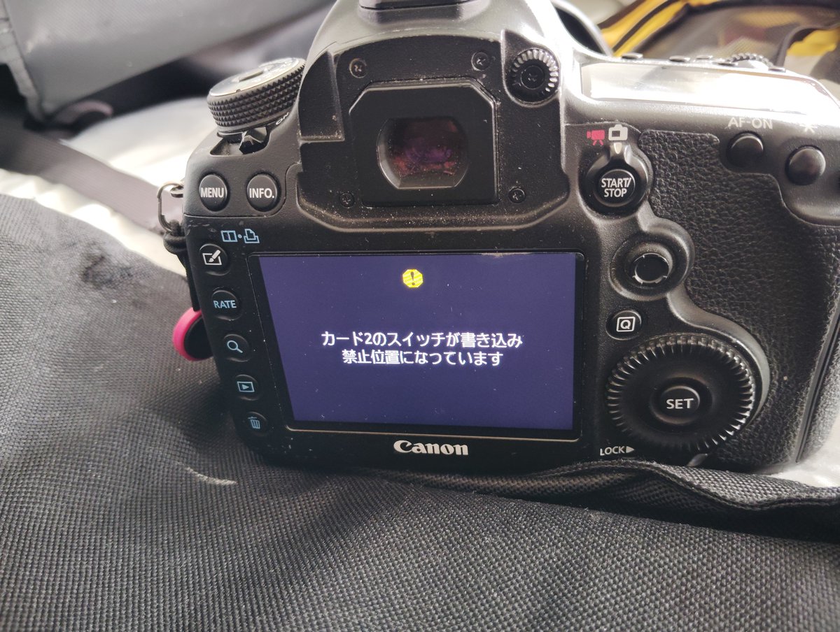 さとやん tweet media